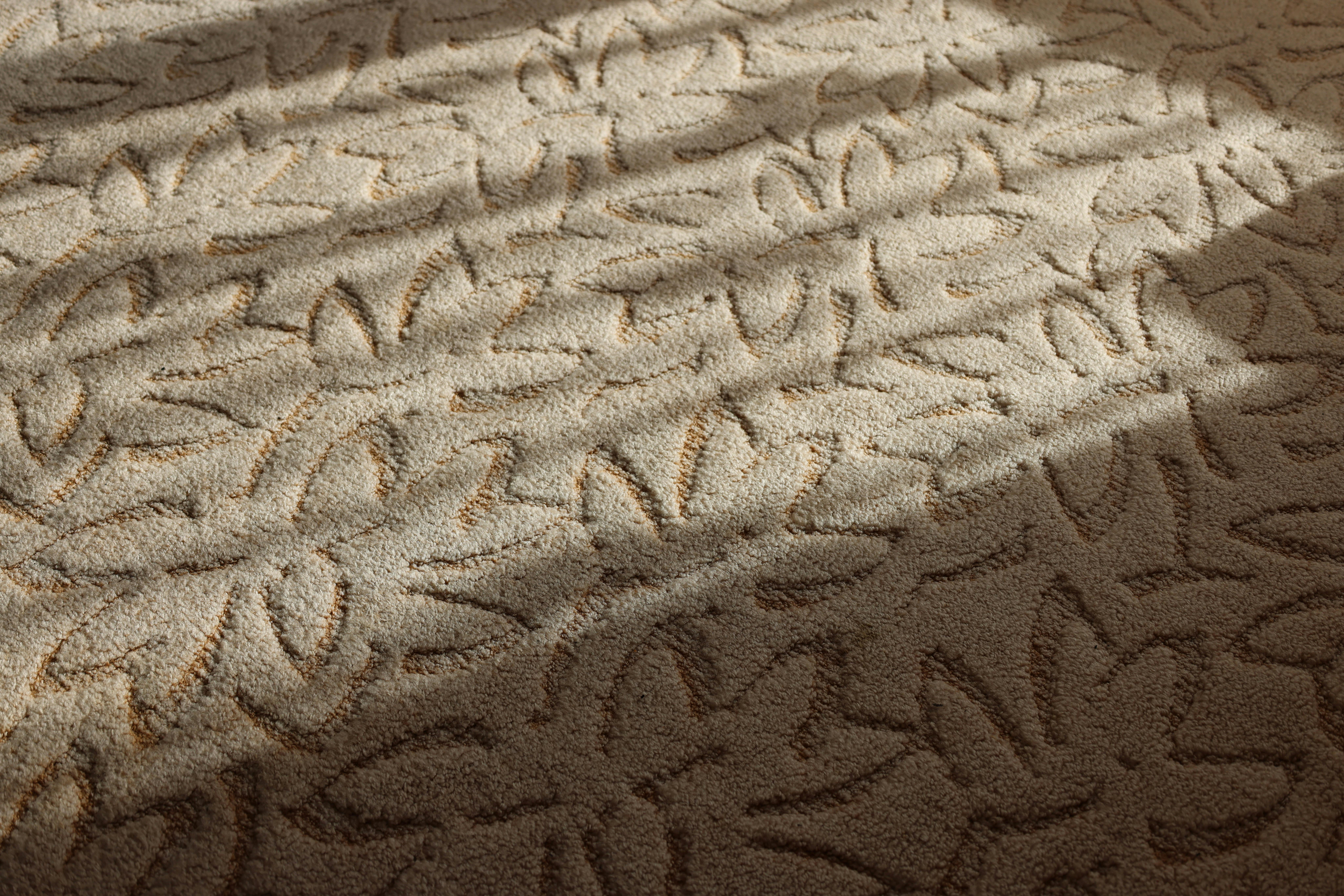 Service A close-up view of a textured beige carpet with a floral pattern under soft daylight, creating a warm and inviting atmosphere.